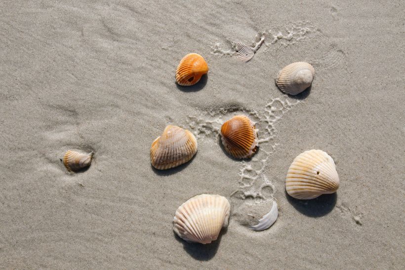 Stade Strand
