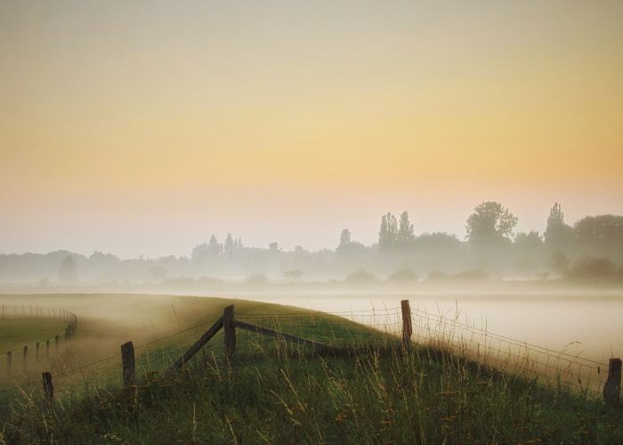 Altes Land