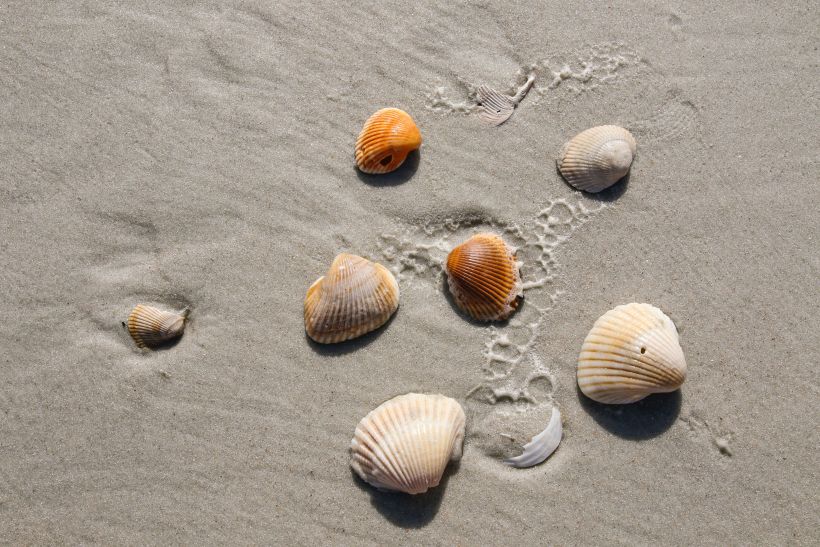 Stade Strand